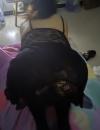 金水区巨乳少妇