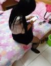 潍坊潍坊奎文区蒙古族轻熟女